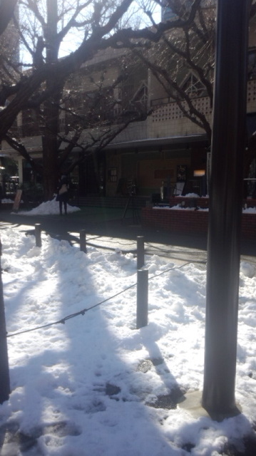 180123_124300.jpgのサムネイル画像